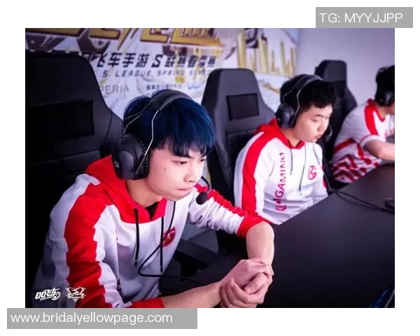 杨娜深度解析DOTA2赛季15独特心得与电竞策略分享